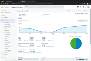 SEO Google Analytics
