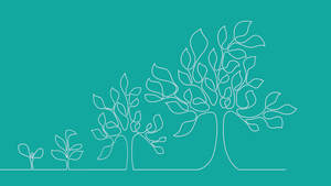 Web Design Web Site website